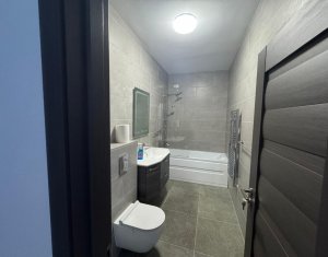 Appartement 2 chambres à louer dans Cluj-napoca, zone Bulgaria