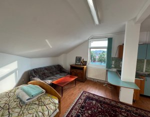 Maison 2 chambres à louer dans Cluj-napoca, zone Andrei Muresanu