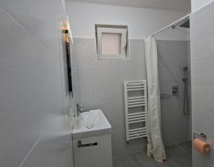 Appartement 1 chambres à louer dans Cluj-napoca, zone Centru