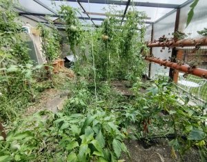 Casa cu teren generos, terasa, parcare si gradina - cartier Iris