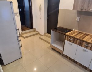 Appartement 1 chambres à louer dans Cluj-napoca, zone Centru