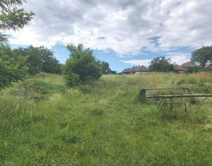 Land for sale in Rediu
