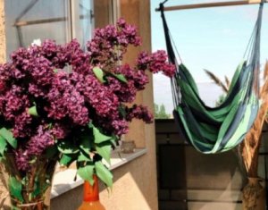 Appartement 2 chambres à vendre dans Baciu