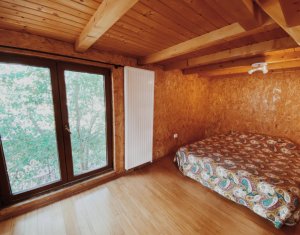 Maison 3 chambres à vendre dans Cluj-napoca, zone Someseni