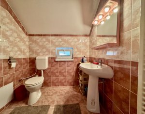 Maison 7 chambres à vendre dans Floresti