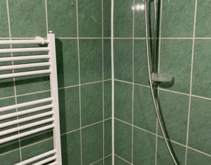 Garsoniera mobilata si utilata, 21mp, Dambul Rotund