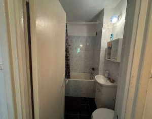 Appartement 2 chambres à louer dans Cluj-napoca, zone Gruia