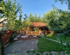 Ház 4 szobák kiadó on Cluj-napoca