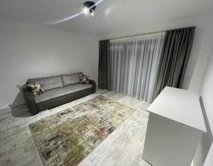 Ház 4 szobák kiadó on Cluj-napoca, Zóna Borhanci