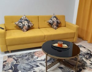 Ház 4 szobák kiadó on Cluj-napoca, Zóna Borhanci