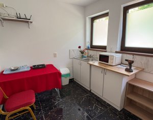 Appartement 1 chambres à louer dans Cluj-napoca, zone Centru