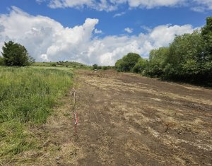 Land for sale in Rediu