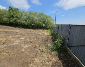 Land for sale in Rediu