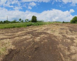 Land for sale in Rediu