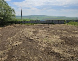 Land for sale in Rediu