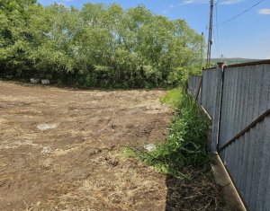 Land for sale in Rediu