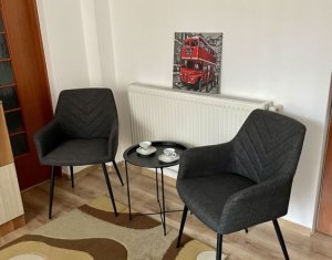Appartement 1 chambres à louer dans Cluj-napoca, zone Centru
