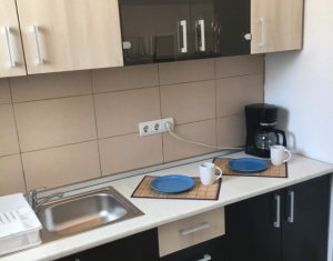 Appartement 1 chambres à louer dans Cluj-napoca, zone Centru