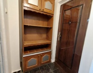 Appartement 1 chambres à louer dans Cluj-napoca, zone Marasti