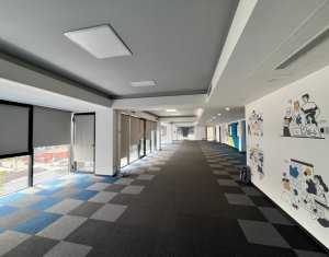 Birouri moderne zona FSEGA - Iulius Mall 