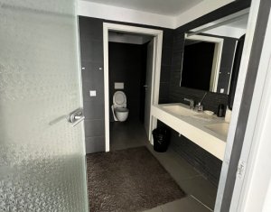 Birouri moderne zona FSEGA - Iulius Mall 