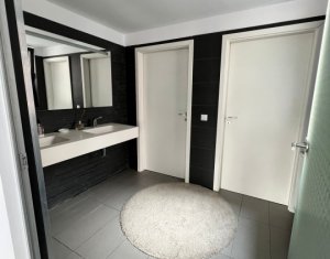 Birouri moderne zona FSEGA - Iulius Mall 