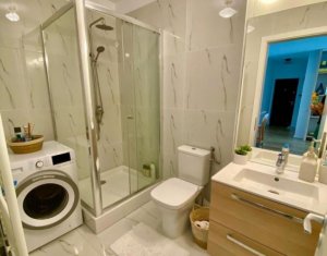 Appartement 2 chambres à louer dans Cluj-napoca, zone Buna Ziua