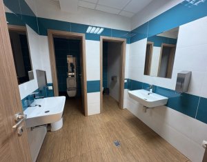 Spatiu pentru birouri, Andrei Muresanu, zona Piata Engels