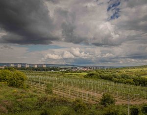 2 camere, pet friendly, cartier Borhanci