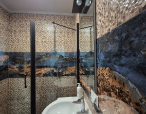 Ház 6 szobák kiadó on Cluj-napoca, Zóna Borhanci