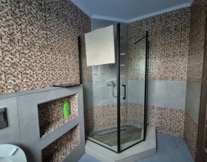 Ház 6 szobák kiadó on Cluj-napoca, Zóna Borhanci