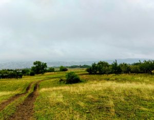 Telek eladó on Cluj-napoca, Zóna Dambul Rotund