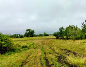 Telek eladó on Cluj-napoca, Zóna Dambul Rotund