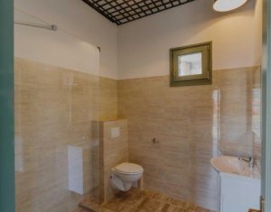 Apartment 2 rooms for rent in Cluj-napoca, zone Centru