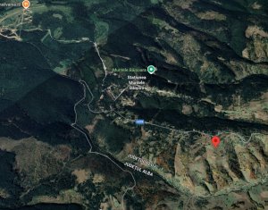 Teren de vanzare – Muntele Baisorii, 1000 mp, vedere spre rezervatia Belioara