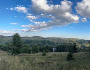 Terrain à vendre dans Muntele Baisorii