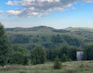 Terrain à vendre dans Muntele Baisorii