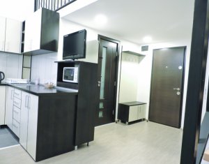 Apartament cu 1 camere, dispus pe 2 niveluri, finisat, mobilat si utilat !