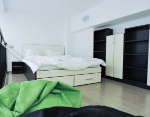 Apartament cu 1 camere, dispus pe 2 niveluri, finisat, mobilat si utilat !