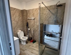 Ház 4 szobák kiadó on Cluj-napoca, Zóna Borhanci