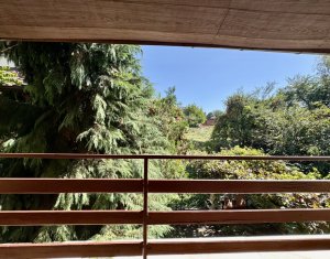 Ház 3 szobák kiadó on Cluj-napoca