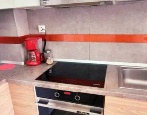 Appartement 1 chambres à louer dans Cluj-napoca, zone Andrei Muresanu