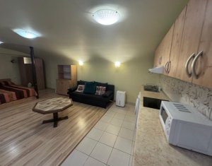 Lakás 1 szobák kiadó on Cluj-napoca, Zóna Centru