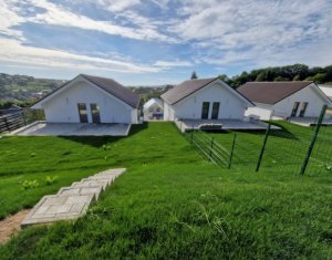 Maison 4 chambres à vendre dans Feleacu