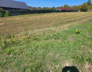 Teren de vanzare – Popesti Vale, 3600 mp