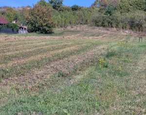 Teren de vanzare – Popesti Vale, 3600 mp