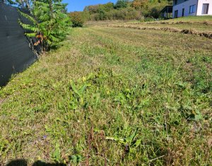 Teren de vanzare – Popesti Vale, 3600 mp