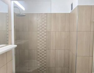 Appartement 1 chambres à louer dans Cluj-napoca, zone Grigorescu