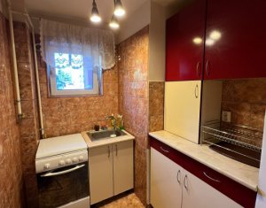 Appartement 2 chambres à louer dans Cluj-napoca, zone Gheorgheni