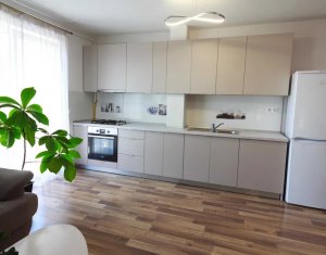 Lakás 1 szobák kiadó on Cluj-napoca, Zóna Andrei Muresanu